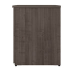 Classeur latéral à 2 tiroirs avec serrure – Érable charbon / Gris moyen / Érable argenté / Blanc pur, 28" L