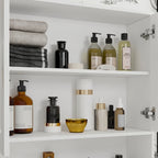 Meuble de rangement pour toilettes avec porte – Blanc, MDF, Porte moulée