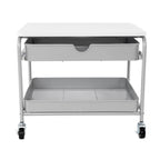 Chariot d'imprimante sous bureau avec 2 paniers métalliques et roulettes verrouillables – Blanc/Argent, Cadre en acier, 4 roulettes