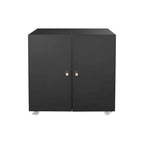Meuble de rangement à roulettes 2 portes – Noir, métal, étagère réglable
